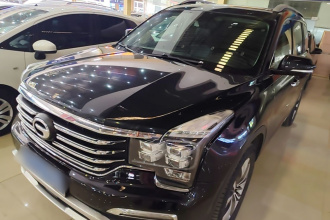 广汽传祺 传祺GS8 2017款 320T 两驱豪华智联版（七座）