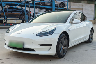 特斯拉 Model 3 2020款 改款 标准续航后驱升级版