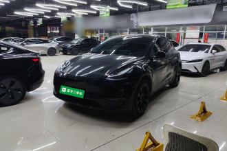 特斯拉 Model Y 2023款 长续航全轮驱动版