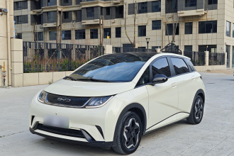 比亚迪 海豚 2021款 405km 时尚版