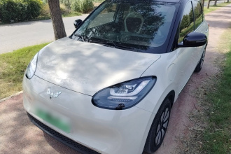 五菱汽车 五菱缤果 2024款 333km 悦享款