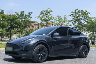 特斯拉 Model Y 2024款 后轮驱动版