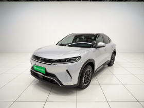 比亚迪 元UP 2024款 301KM 领先型