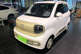 奔腾小马 2025款 222km 闪电马