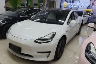 特斯拉 Model 3 2019款 标准续航后驱升级版