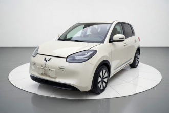 五菱汽车 五菱缤果 2023款 203km 舒享款