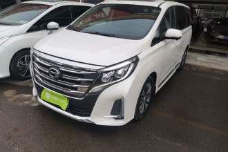 广汽传祺 传祺M8 2020款 领航款 390T 至尊版