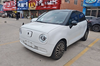 欧拉黑猫 2021款 301km 基础型