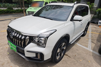 广汽传祺 传祺GS8 2020款 GS8S 390T 两驱尊贵版
