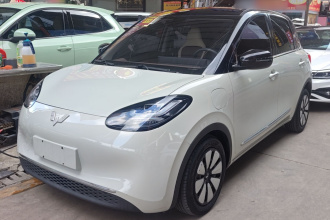 五菱汽车 五菱缤果 2023款 333km 灵犀互联+款
