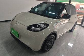 五菱汽车 五菱缤果 2024款 203km 轻享款