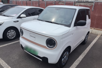 吉利银河 2024款 熊猫mini 200km 耐力熊