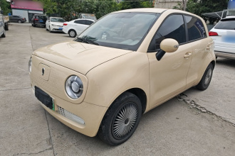 欧拉黑猫 2021款 301km 基础型