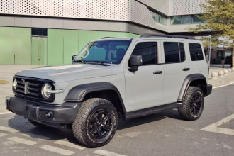 坦克300 2021款 越野版 2.0T 征服者