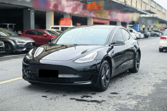 特斯拉 Model 3 2019款 标准续航后驱升级版