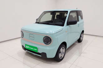 吉利银河 2024款 熊猫mini 200km 耐力熊