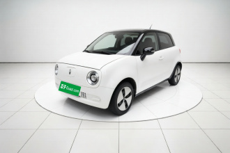 欧拉黑猫 2022款 301km 基础型 三元锂