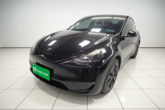 特斯拉 Model Y 2021款 标准续航后驱版