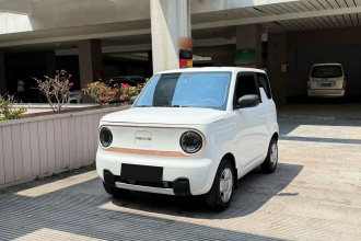 吉利银河 2024款 熊猫mini 200km 耐力熊