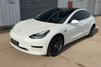 特斯拉 Model 3 2019款 标准续航后驱升级版