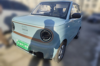 吉利银河 2024款 熊猫mini 200km 龙腾PRO版