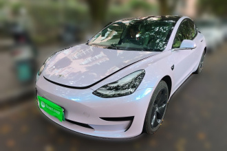 特斯拉 Model 3(进口) 2019款 长续航后驱版