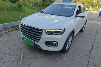 哈弗H6 2020款 1.5GDIT 自动铂金都市版