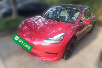 特斯拉 Model 3 2020款 标准续航后驱升级版