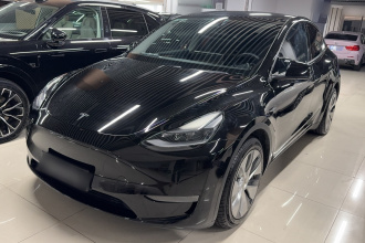 特斯拉 Model Y 2021款 长续航全轮驱动版