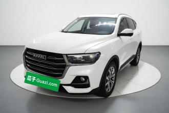 哈弗H6 2021款 国潮版 1.5T 自动冠军版