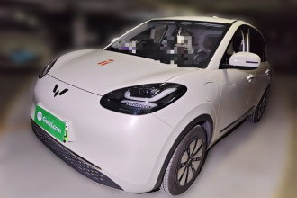 五菱汽车 五菱缤果 2024款 333km 悦享款