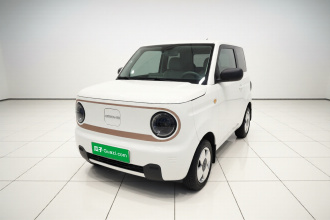 吉利银河 2024款 熊猫mini 200km 耐力熊