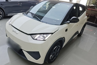 比亚迪 海鸥 2025款 智驾版 305km 自由版