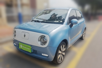 欧拉黑猫 2019款 351km 亲子版