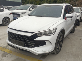 比亚迪 宋Pro新能源 2023款 冠军版 DM-i 71KM超越型