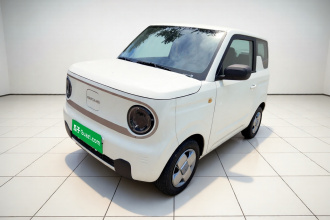 吉利银河 2023款 熊猫mini 200km 耐力熊