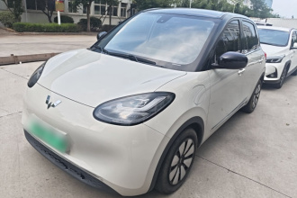 五菱汽车 五菱缤果 2023款 333km 灵犀互联款