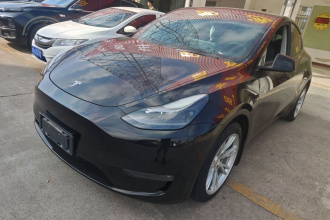 特斯拉 Model Y 2021款 标准续航后驱版