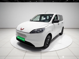 五菱汽车 五菱宏光新能源 2025款 增程式混动 50KM 标准型