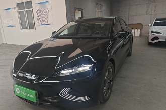 比亚迪 海豹 2023款 冠军版 550km 精英型