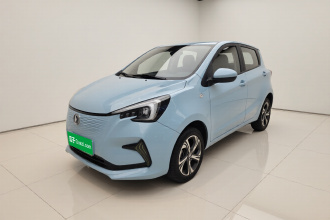 长安 奔奔E-Star 2022款 清心版 多彩款 三元锂