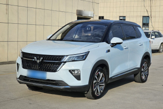 五菱汽车 五菱星辰 2022款 2.0L DHT电速款