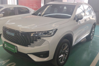 哈弗H6新能源 2023款 DHT-PHEV 110KM 悦行版