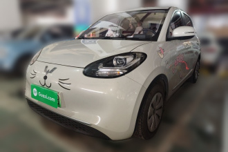 五菱汽车 五菱缤果 2023款 203km 轻享款