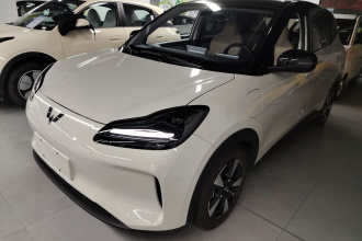 五菱汽车 五菱缤果PLUS 2024款 510km 五座版