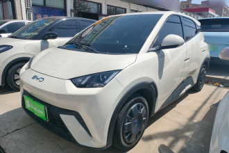 比亚迪 海鸥 2025款 305km 活力版