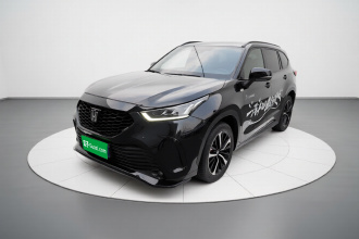 丰田 皇冠陆放 2021款 2.5L HEV四驱旗舰版