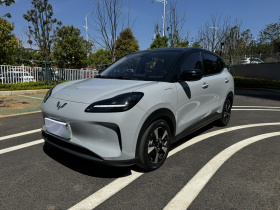 五菱汽车 五菱缤果PLUS 2024款 510km 旗舰版 四座版