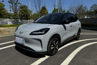 五菱汽车 五菱缤果PLUS 2024款 510km 旗舰版 四座版