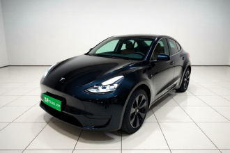特斯拉 Model Y 2024款 长续航全轮驱动版